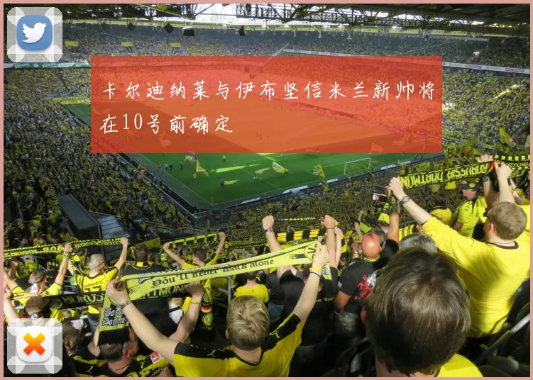 卡尔迪纳莱与伊布坚信米兰新帅将在10号前确定