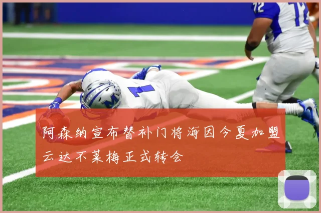阿森纳宣布替补门将海因今夏加盟云达不莱梅正式转会